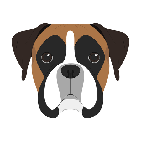 Boxer dog isolated on white background vector illustration