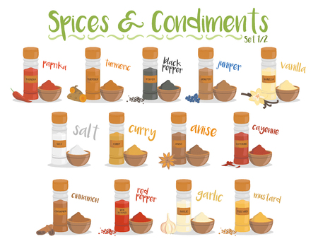 Set of 13 different culinary species and condiments in cartoon style. Set 1 of 2のイラスト素材