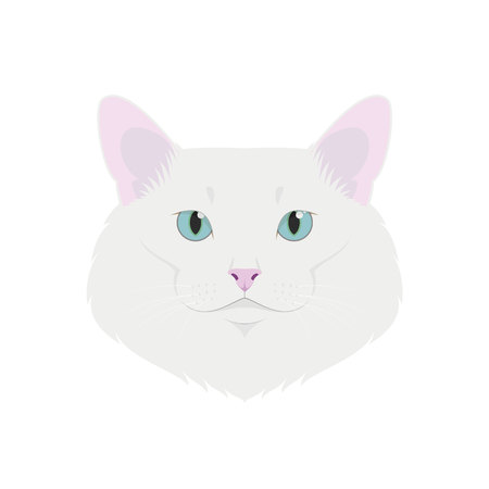 Turkish Angora cat isolated on white background vector illustrationのイラスト素材