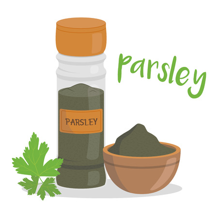 Vector parsley illustration isolated in cartoon style. Herbs and Species Seriesのイラスト素材