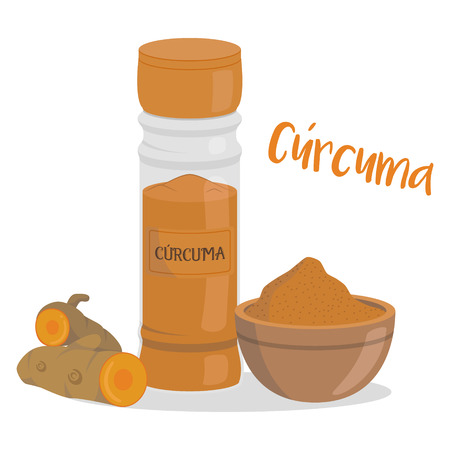 Vector turmeric illustration isolated in cartoon style. Spanish name. Herbs and Species Seriesのイラスト素材