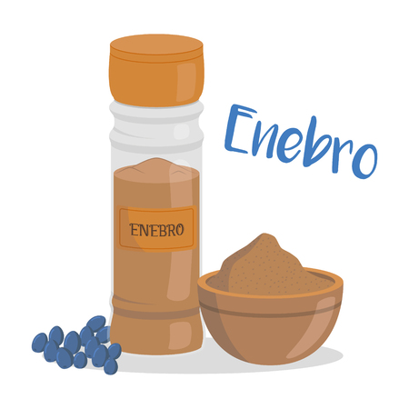Vector juniper illustration isolated in cartoon style. Spanish name. Herbs and Species Seriesのイラスト素材