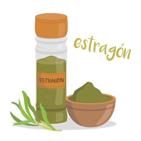 Vector tarragon illustration isolated in cartoon style. Spanish name. Herbs and Species Seriesのイラスト素材
