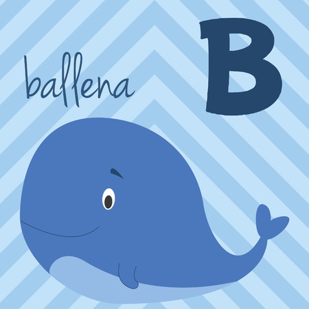 Cute cartoon zoo illustrated alphabet with funny animals. Spanish alphabet:  B for Ballena. Learn to read. Isolated Vector illustration.のイラスト素材