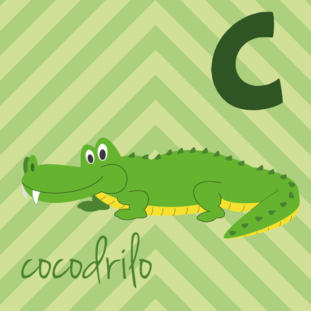Cute cartoon zoo illustrated alphabet with funny animals. Spanish alphabet: C for Cocodrilo. Learn to read. Isolated Vector illustration.のイラスト素材