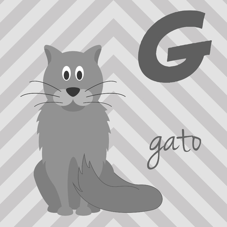 Cute cartoon zoo illustrated alphabet with funny animals. Spanish alphabet: G for Gato. Learn to read. Isolated Vector illustration.のイラスト素材