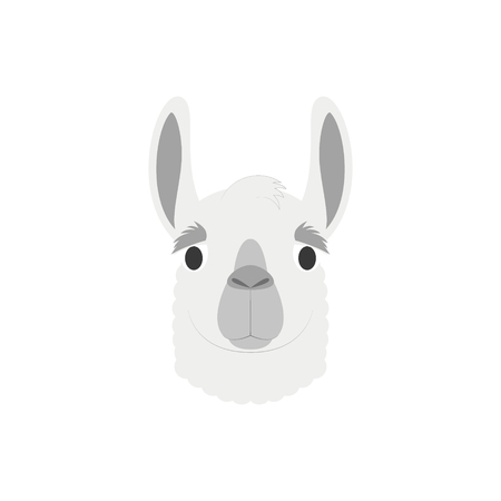 Llama face in cartoon style for children. Animal Faces Vector illustration Seriesのイラスト素材