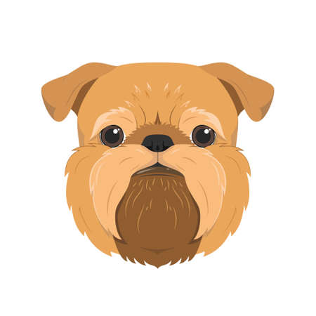 Brussels Griffon dog isolated on white background vector illustrationのイラスト素材