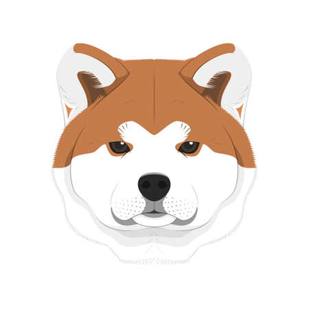 Akita Inu dog isolated on white background vector illustrationのイラスト素材