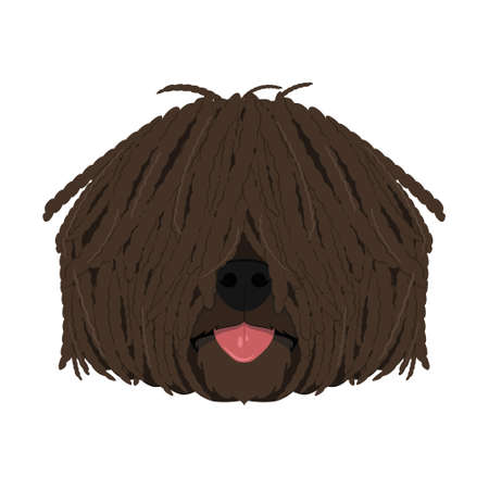 Puli dog isolated on white background vector illustrationのイラスト素材