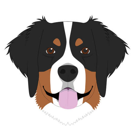 バーニーズマウンテンドッグの写真 イラスト素材一覧 11 659件 ストックフォトのamanaimages Plus