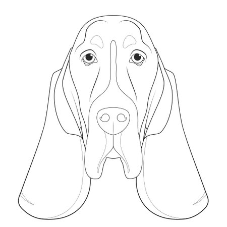 Basset Hound dog easy coloring cartoon vector illustration. Isolated on white backgroundのイラスト素材