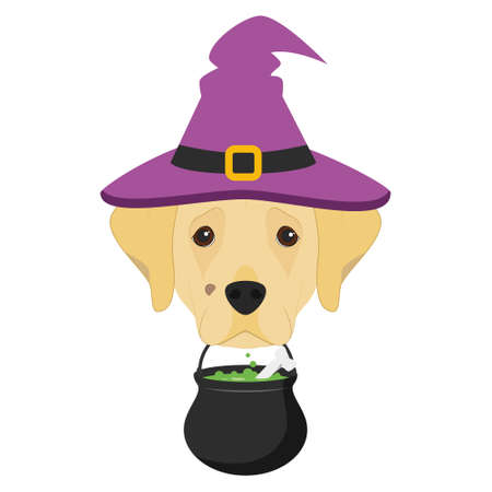 Halloween greeting card. Labrador Retriever dog dressed as a witch with purple hat and a cauldron in the mouthのイラスト素材