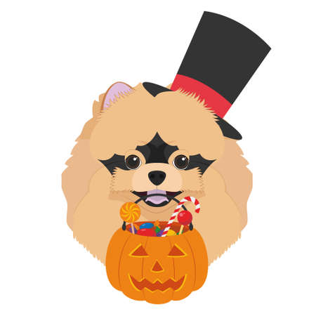 Halloween greeting card. Pomeranian dog with top hat, mask and a pumpkin with candies in the mouthのイラスト素材