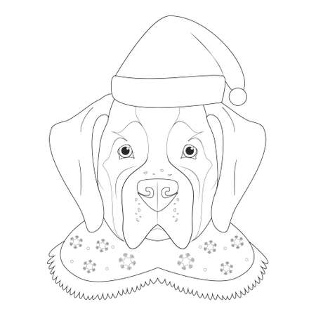Christmas greeting card for coloring. Saint Bernard dog with Santa's hatのイラスト素材