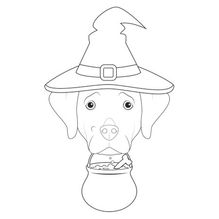 Halloween greeting card for coloring. Labrador Retriever dog dressed as a witch with purple hat and a cauldron in the mouthのイラスト素材