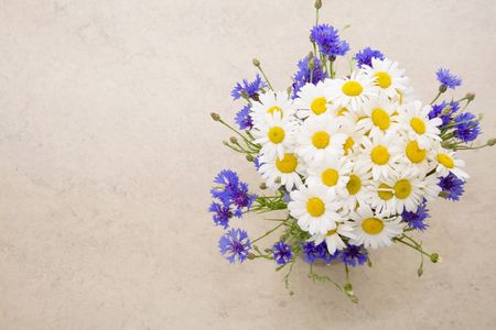 Daisies and blue cornflowersの写真素材