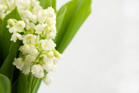 Lily of the valleyの写真素材