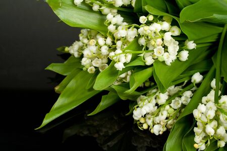 Lily of the valleyの写真素材