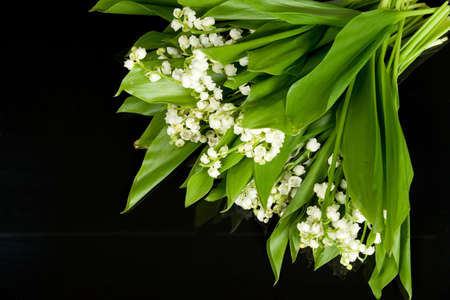 Lily of the valleyの写真素材