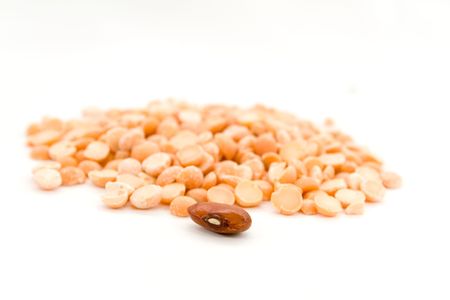 Dry haricotの写真素材