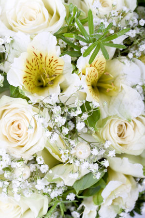 Wedding bouquetの写真素材