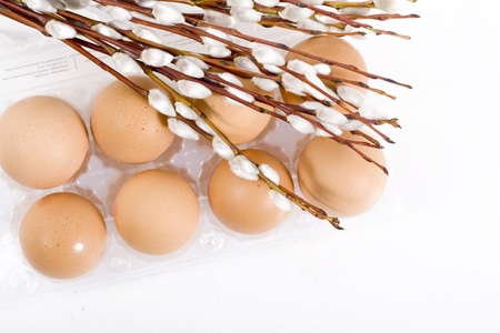 Pussy willow and eggs