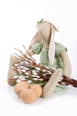 Rabbit, pussy willow and eggsの写真素材