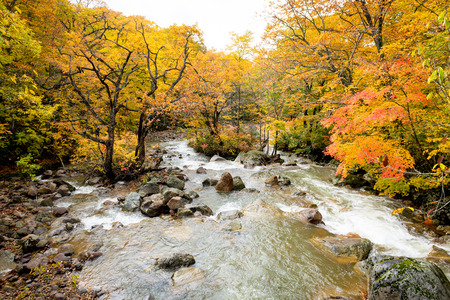 waterfall and red maple in japanの写真素材