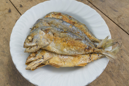 fried mackerelの写真素材