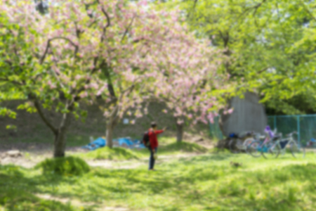 Blur of  Tourist selfie with sakura flower background.の写真素材