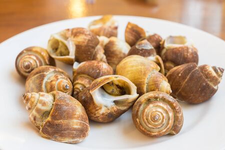 Tasting hot and fresh snails