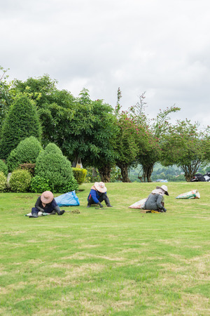 Workers in the Grassのeditorial素材