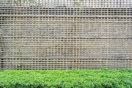 bamboo wooden fence with green leaf in traditional garden backgroundの写真素材