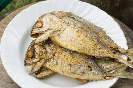 fried mackerelの写真素材