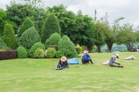 Workers on the grassのeditorial素材