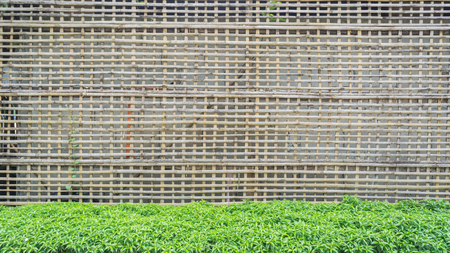 bamboo wooden fence with green leaf in traditional garden backgroundの写真素材