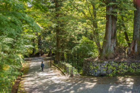 blurred backgroound of People visit Tosho-gu Shrine in Nikko, Japan. Toshogu is part of a UNESCO World Heritage Site, group of very important temples in Japan.の写真素材