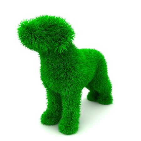 3D dog isolated on white.の写真素材