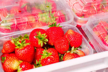 Boxes of freshly picked summer strawberries displayed at market fruit standの写真素材