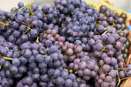 bunch of ripe grapes covered with water droplets