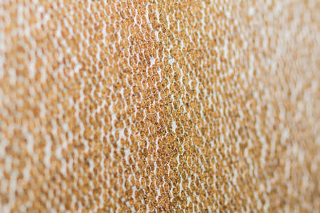 a lot of cigarettes at a tobacco factoryの写真素材