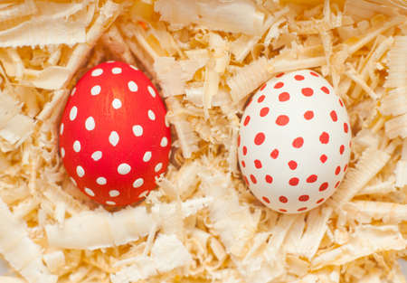 colorful easter eggs with sawdustの写真素材