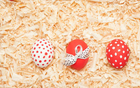 colorful easter eggs with sawdustの写真素材