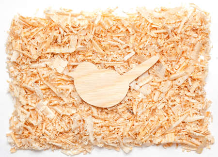 wood bird in the sawdustの写真素材