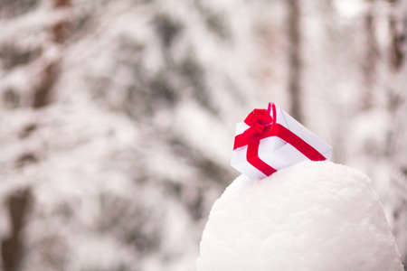 Present in snow decoration for manifold occasionsの写真素材