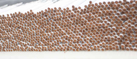 a lot of cigarettes at a tobacco factoryの写真素材