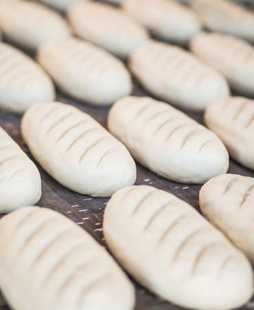 Baked Breads on the production line at the bakeryの写真素材
