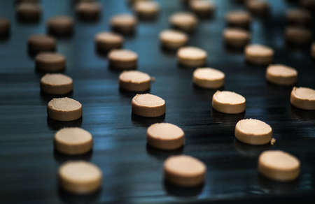 Honey-cake  on the production line at the bakeryの写真素材