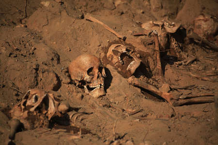 apocalypse concept skull and bones abstrarct background .の写真素材